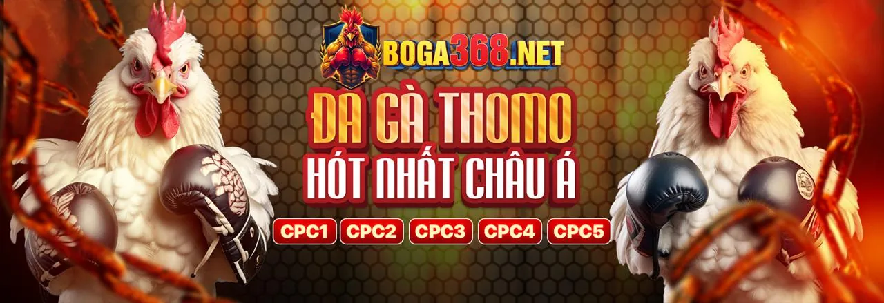 Lý do chọn sp8bet chính thức
