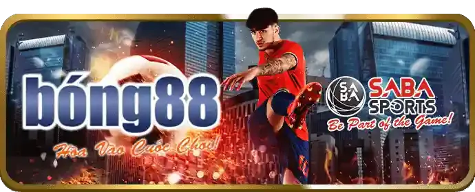 Cá cược trực tiếp tại sp8bet chính thức