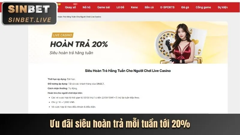 Thưởng sinh nhật và ưu đãi VIP tại sp8bet chính thức