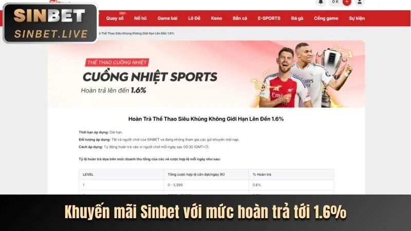 Hoàn trả hàng ngày tại sp8bet chính thức